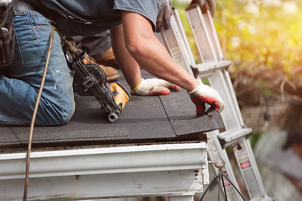Best Roof Gutter Cleaning  in Homerville, GA