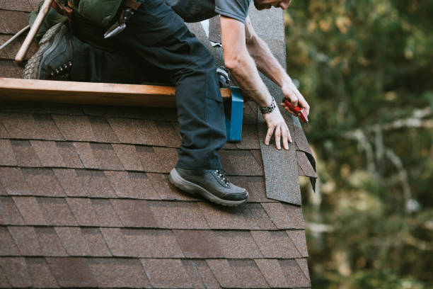 Best Shingle Roofing Installation  in Homerville, GA