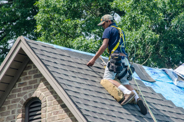 Best Roof Restoration Services  in Homerville, GA